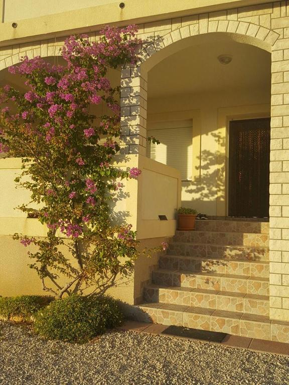 Apartmani Luka *